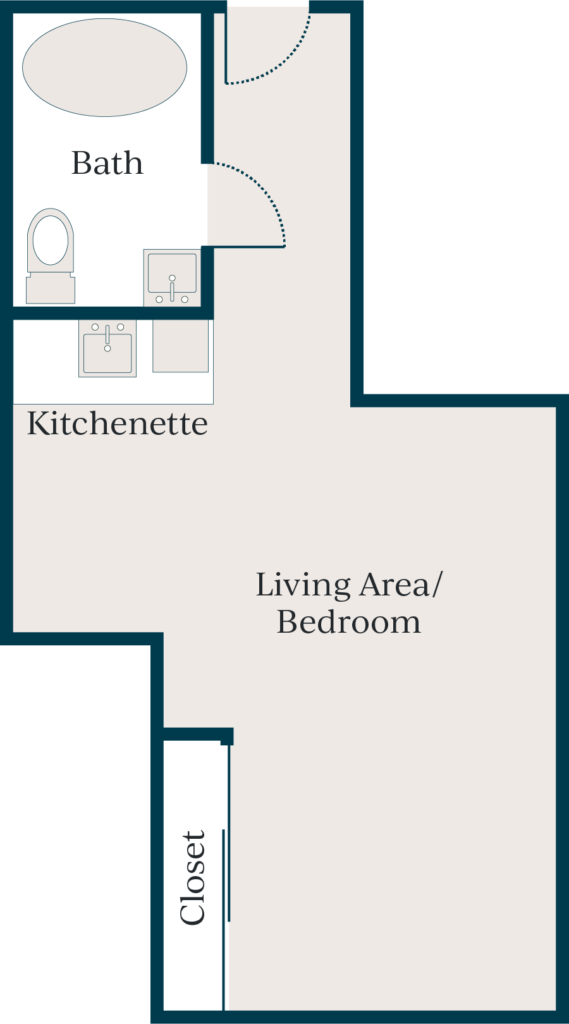 Large living area/bedroom, bathroom, kitchenette, closet