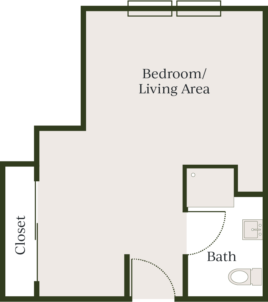 Large living area with bedroom, closet, and bathroom