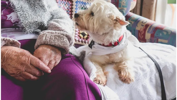 Are Pets Allowed in Assisted Living Facilities?