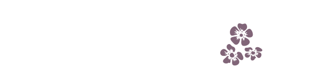 Senior Services of America