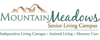 Senior Services of America